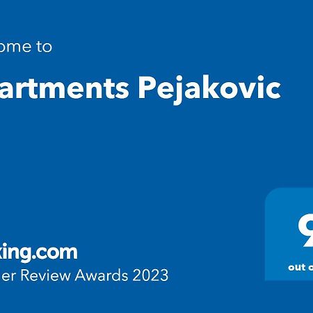 Apartments Pejakovic Vir Εξωτερικό φωτογραφία